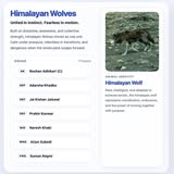 Irving Nepal FC internal scrimmage team card: Himalayan Wolves